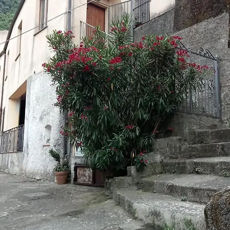 L'Oleandro Apartamento Maratea Exterior foto
