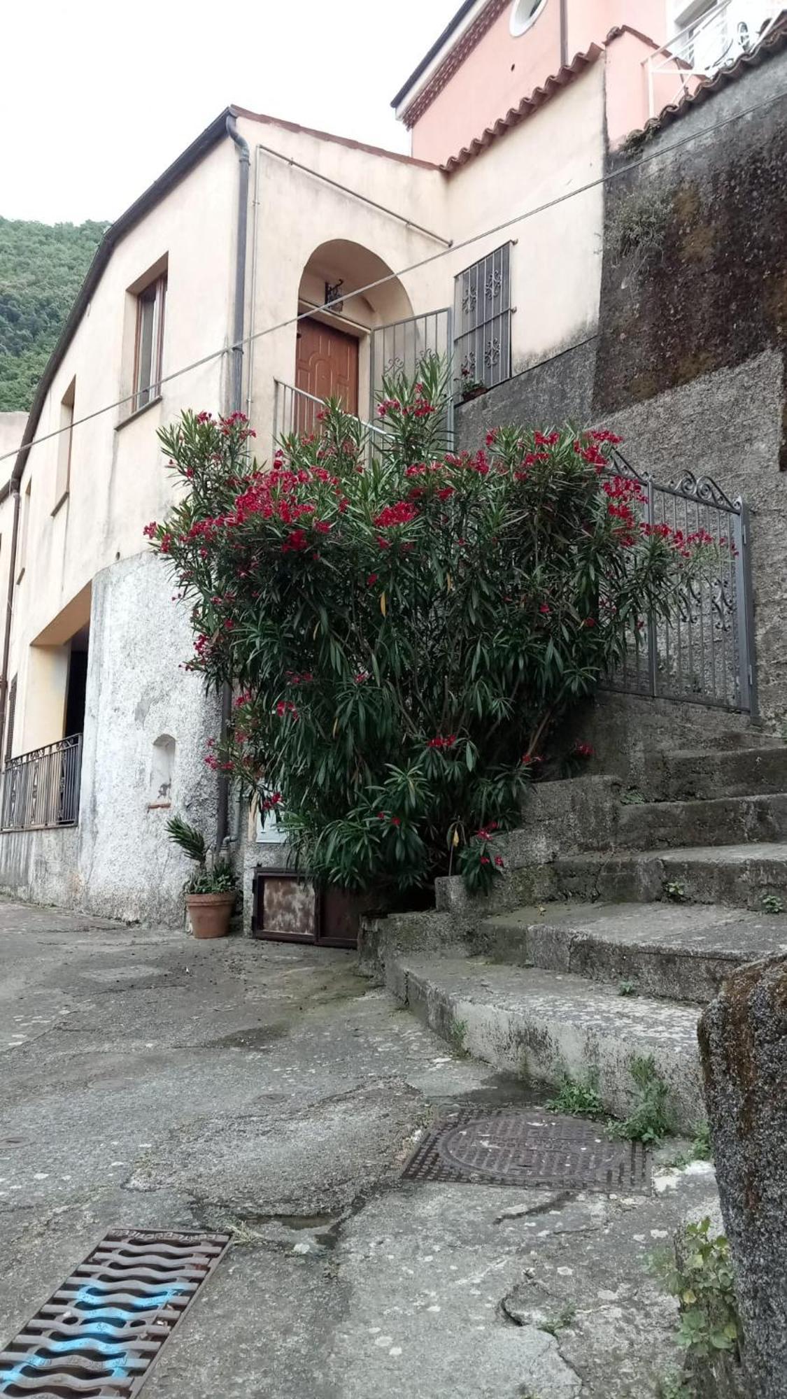 L'oleandro Apartment